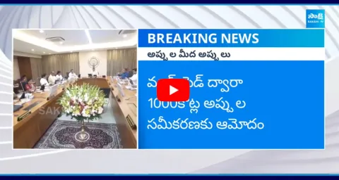 AP Cabinet Green Signal For Huge Debts Raising 