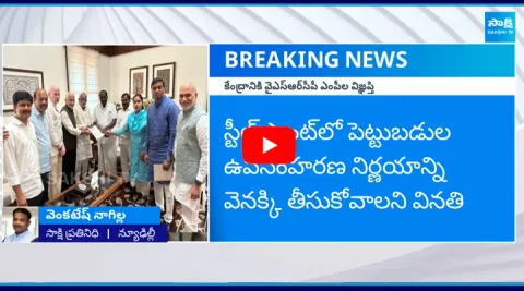 YSRCP MPs Appeal To Union Minister Kumaraswamy Oppose Privatization of Vizag Steel Plant