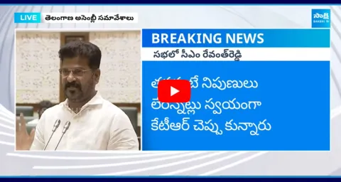 CM Revanth Reddy Shared Facts About Dharani Portal In Telangana Assembly 