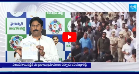 YSRCP Leader Ravi Chandra Reddy Fires On Chandrababu And Pawan Kalyan