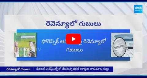 Dharani Portal Forensic Audit
