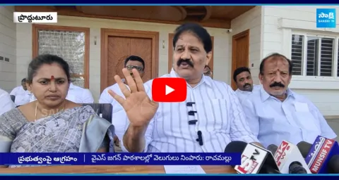 Rachamallu Siva Prasad Reddy Comments On Chandrababu And TDP Government