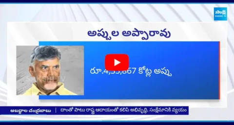 Chandrababu Gave Clarity On AP Debts
