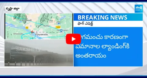 Fog Effect Interrupted To Flights Landing At Gannavaram Airport 