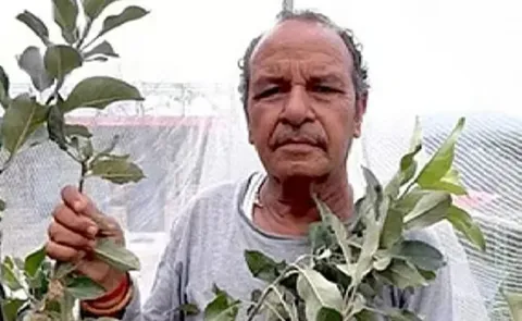 The Apple Man of India Hariman Sharma Padma Sri  success story