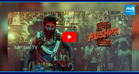 Pushpa 2 New Records In Hindi 