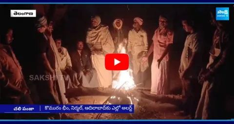 Heavy Cold Wave In Telangana