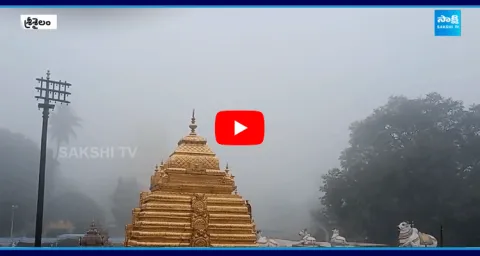 Heavy Fog In Srisailam