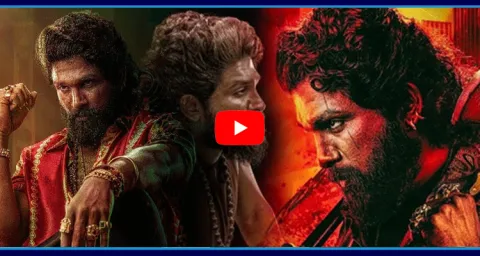 Indian Cinemas Industry Hit Pushpa 2 The Rule
