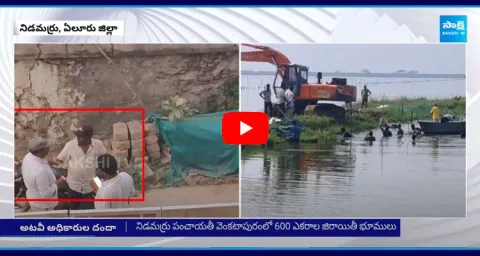 Eluru Forest Department Officials Bribe