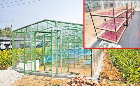 Mixed-mode natural convection solar crop dryers