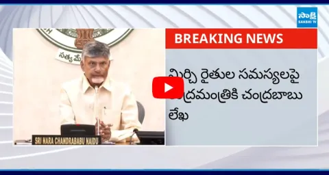 Chandrababu New Drama On Mirchi Farmers Over Jagn Tour
