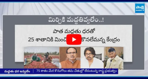 TDP Government Delay In Decision On Chilli Crop 