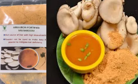 how to make Arka mushroom fortified rasam mix 