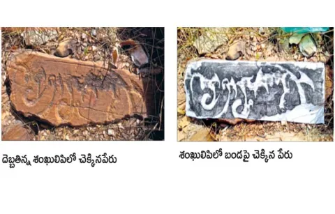 Rare conch inscriptions in YSR district