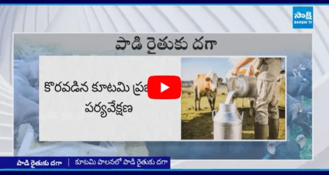 Chandrababu Conspiracy Over Dairy Farmer 