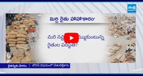 Chandrababu Conspiracy Against Mirchi Farmers 