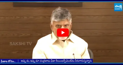 YSRCP MLCs Attack With Question on Volunteer System
