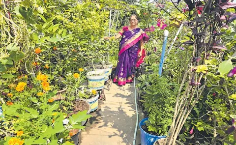 Retired Headmaster Transformed Home Into Lush Garden Crops And Plants