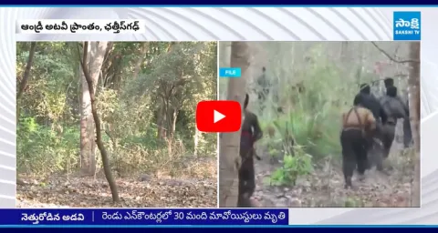 Maoists Encounters In Chhattisgarh 