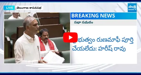 Harish Rao Sensational Comments On Congress