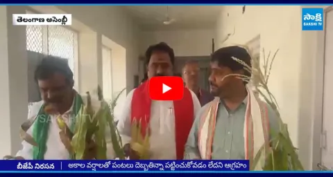 BJP MLAs Protest Over Damaged Crops Plants In Assembly Media Point 