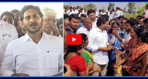 YS Jagan Serious Comments On Chandrababu Government