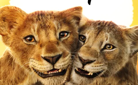 Mufasa The Lion King Streaming On this Ott From This Mid night