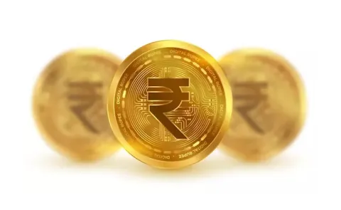 Indian Rupee has seen fluctuations against the US Dollar USD over time been cooloff
