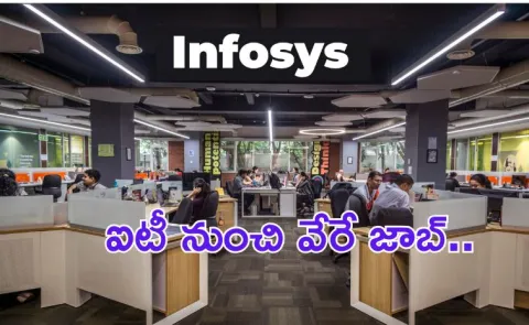Infosys Layoffs More Trainees At Mysuru Campus and Offered Them