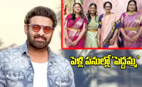 Prabhas Wedding With Big Businessman Daughter