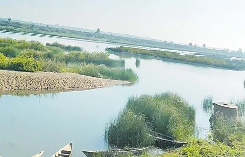 Hopes are rising again on the pranahita project