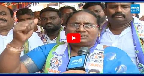 Kaikaluru YSRCP MPTC Candidates Sensational Facts On TDP Leaders 