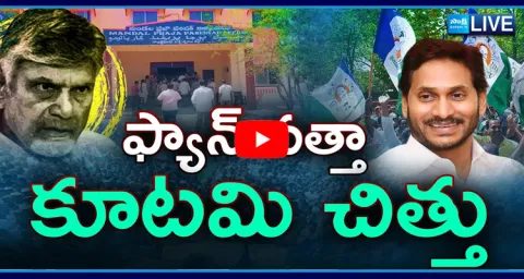 YSRCP Grand Victory In Local Body Election TDP Janasena And BJP Utter Flop 