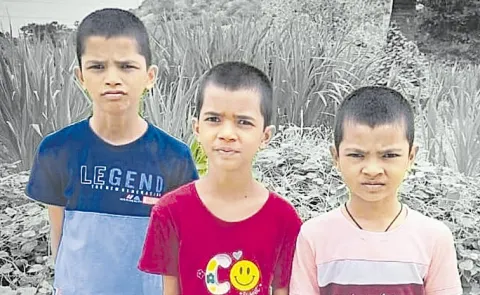 Telangana: 3 children die after eating poisoned food