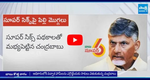 Chandrababu Govt Fails in Super Six Schemes 
