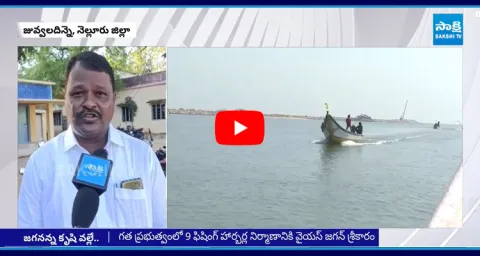 TDP Govt Agreed YS Jagan Govt Hard Work On Juvvaladinne Fishing Harbour