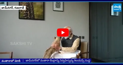 PM Modi Visits Vantara Animal Rescue And Rehabilitation