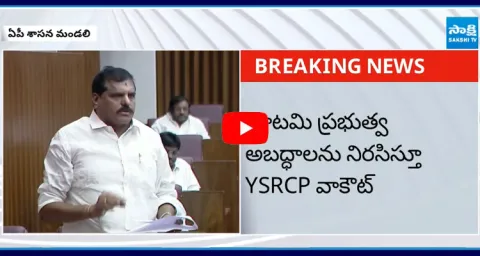 YSRCP MLCs Walkout From Legislative Council 