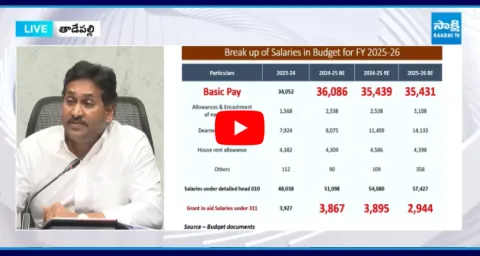 YS Jagan Counter To Payyavula Keshav Over Employees Budget Allocation