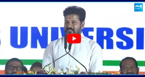 Cm Revanth Mass Speech
