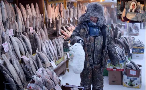 World's Coldest Market In City Goes Viral In Social Media