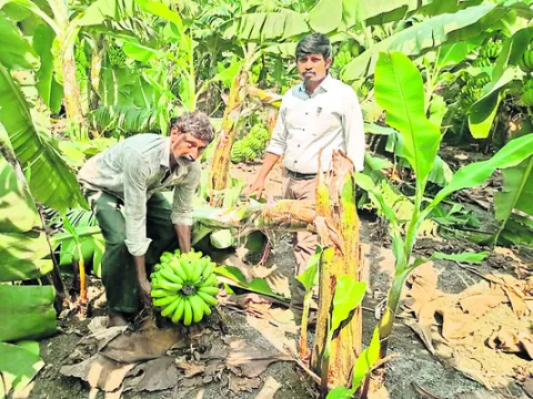 ప్రైవేట్‌ అభ్యర్థులకు  ఐటీఐ పరీక్షలకు అర్హత
