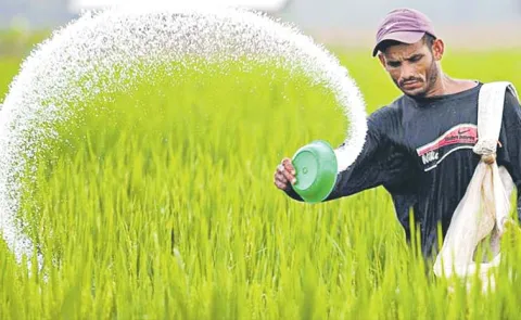 Increasing use of chemical fertilizers