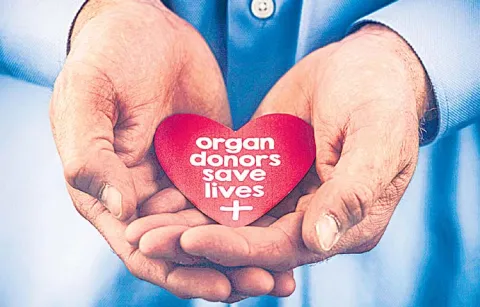 New guidelines in organ transplant policy soon with the approval of Revanth Reddy