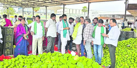 మామిడి రైతుల ప్రయోజనాలే ముఖ్యం 