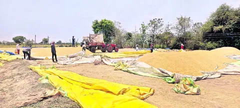 సౌకర్