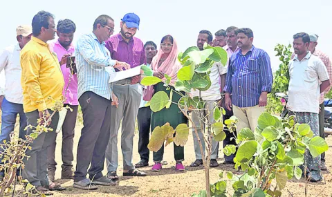 ‘సమీకృతం’ కోసం   స్థల పరిశీలన