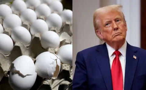 Egg prices continue rise in US