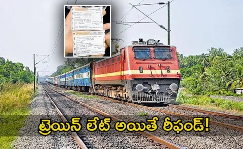 if train ticket torn on journey what will do